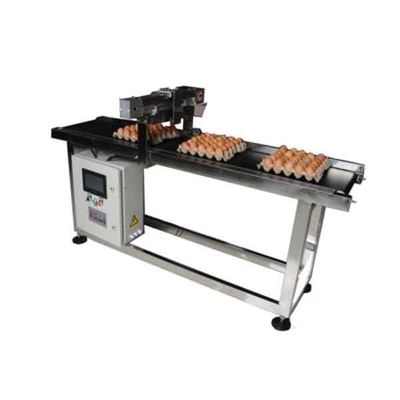 400W 잉크젯 프린터 계란 컨베이어 벨트 시스템 디스플레이 화면
